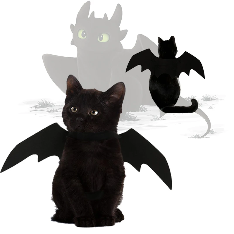 Toothless Cosplay Costume How To Train Your Dragon Cat Costume Dress