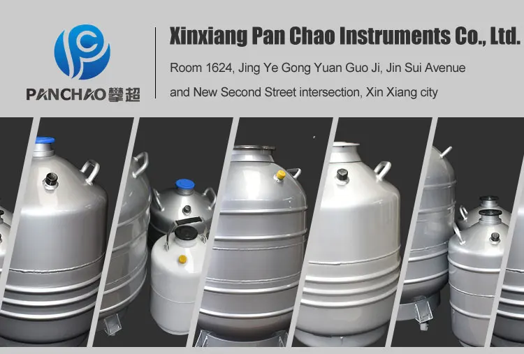 Hot sale YDS liquid nitrogen storage tank container / LN2 dewar flask