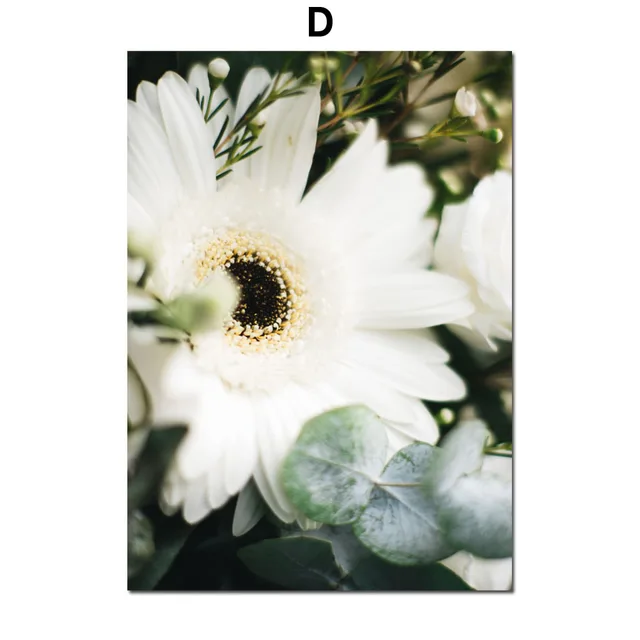 Aloe Succulents Monstera Green Plant Art Nordic Posters And Prints Wall Art Canvas Painting Wall Pictures For Living Room Decor D