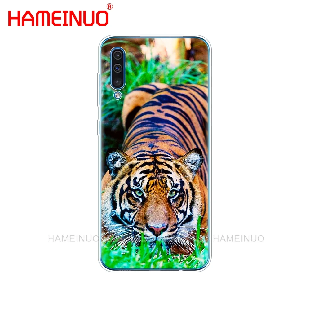 Силиконовый чехол для телефона samsung Galaxy S10 E PLUS A10 A20 A30 A40 A50 A70 A10E A20E M20 Lion tiger Fashion Lovely Animal - Цвет: 42840