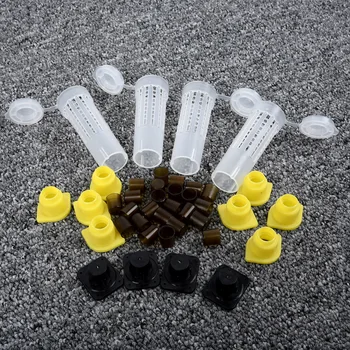 

100% Brand New Complete Queen Rearing Cupkit System Bee Beekeeping Catcher Box +100 Cell Cups