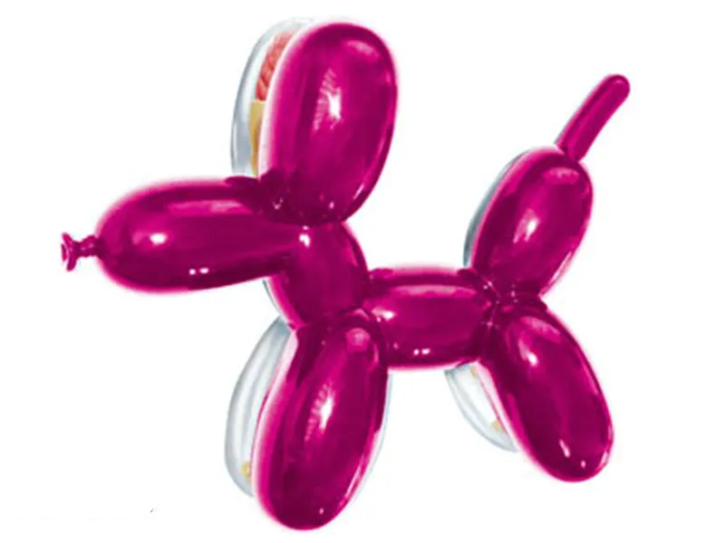 

4d master puzzle Assembling toy Perspective bone anatomy model Mini Peach Red Balloon Dog