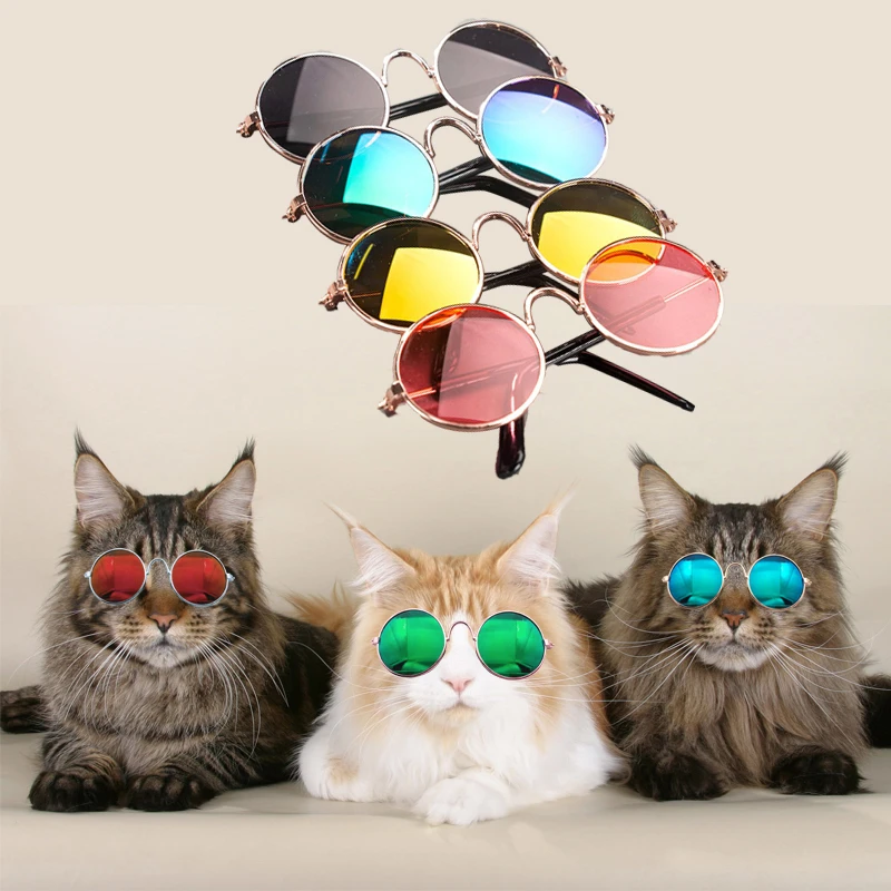 Домашнее животное кошка очки собачьи Pet разные цвета для маленькой собачки