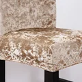 Velvet Color 3