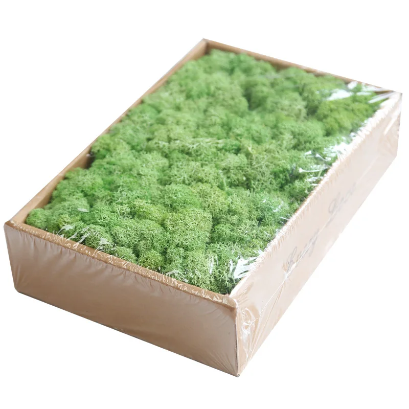 Preserved Moss Wall Decor Real Preserved Moss No Maintenance Required  Naturally Preserved Moss for Home Wall Party Festivals Crafts Xmas Indoor  Office Decoration 