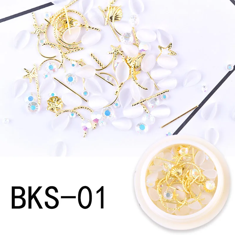 BKS-01