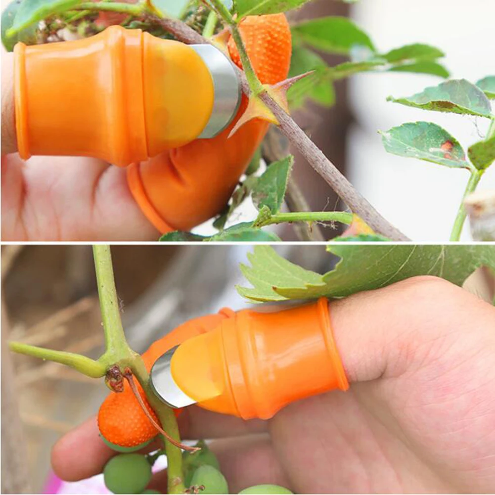 Портативный Силиконовый резак для большого пальца, набор, энергосберегающий инструмент для уборки винограда, садовые инструменты для овощей и фруктов 30E