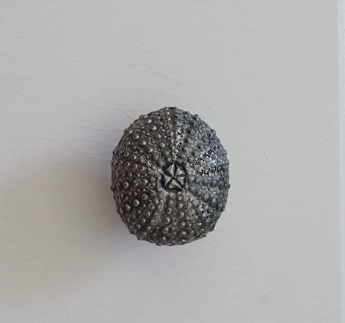 Acorn Manufacturing DPDPP Artisan Collection Sand Dollar Knob, Antique Pewter - View #11