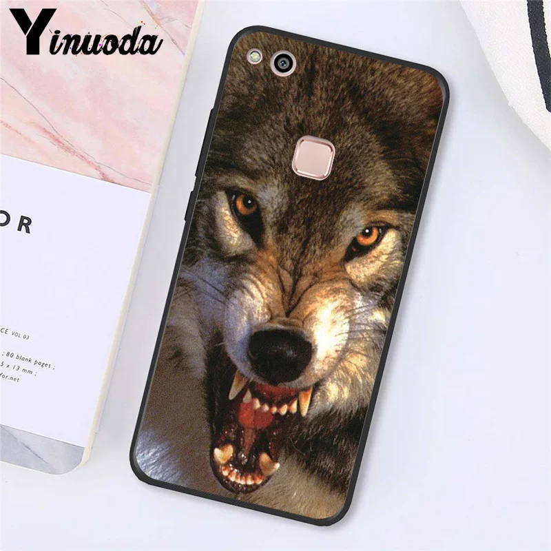 angry Animal wolf Face