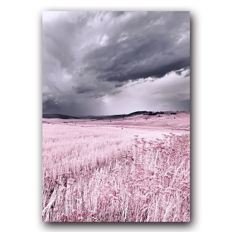 BW0149-5 Розовый фиолетовый Пейзаж Плакат пляж снег горы перо жизнь красивый дом стены Искусство украшение Картина на холсте - Цвет: BW0149-5