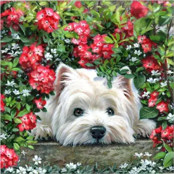 

Gatyztory Flower DIY Painting By Numbers HandPainted Oil Painting Canvas Colouring Dog Home Decor Gift