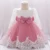 Новорожденный С Длинным Рукавом Baby Girl Dresses Party Wedding Girl Lace Big Bow Dresses Младенческая Девочка 1-й День Рождения Принцесса Крещение Платье