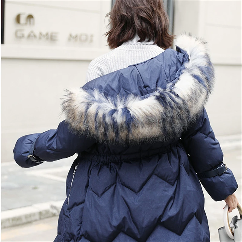 11654121917_1559116142