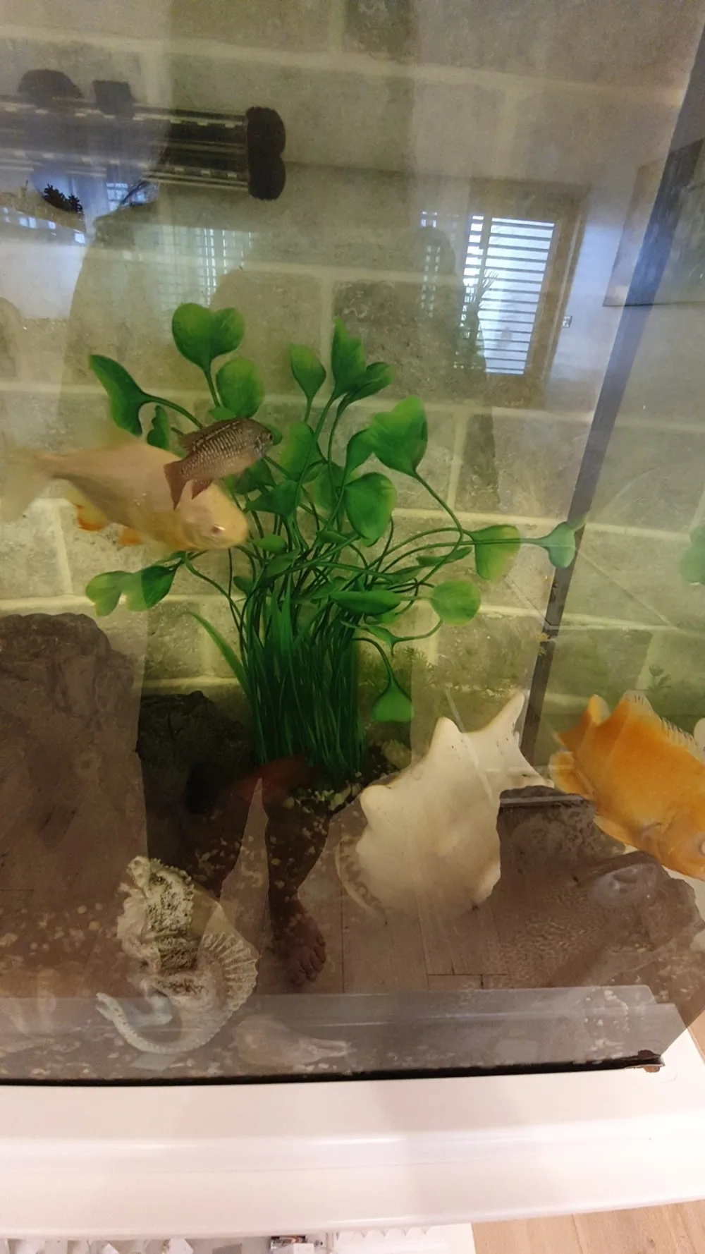 Ubc6c9f7e54284362ad25573358248382M