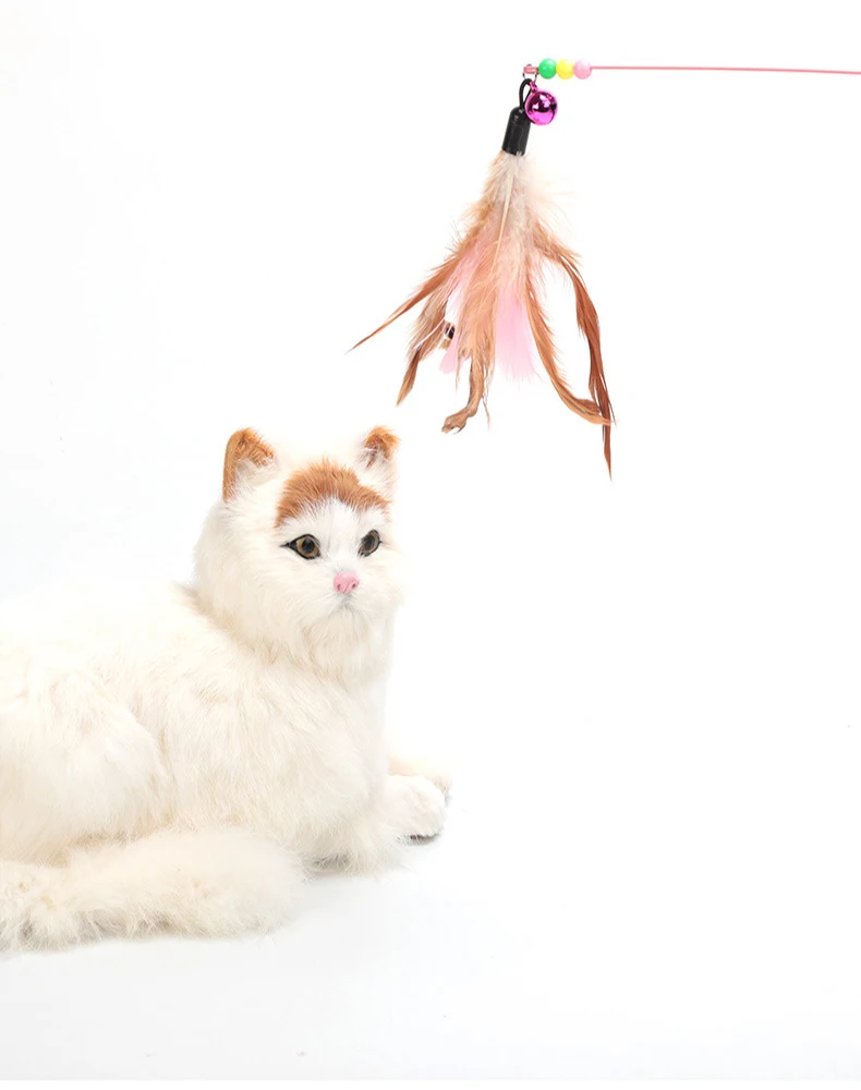 Interaktywna zabawka dla kota ze stali nierdzewnej zabawny piórko ptak z dzwonkiem molowy kij dla kotka gra Teaser różdżki zabawki artykuły dla kotów 1 Interaktywna zabawka dla kota ze stali nierdzewnej zabawny piórko ptak z dzwonkiem molowy kij dla kotka gra Teaser różdżki zabawki artykuły dla kotów 1