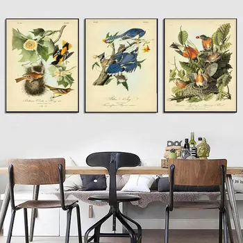 

Audubon Bird Posters andPrints Birds of America Wall Art Botanical Cardinal Blue Jay Robin Oriole Pictures Gift for Nature Lover