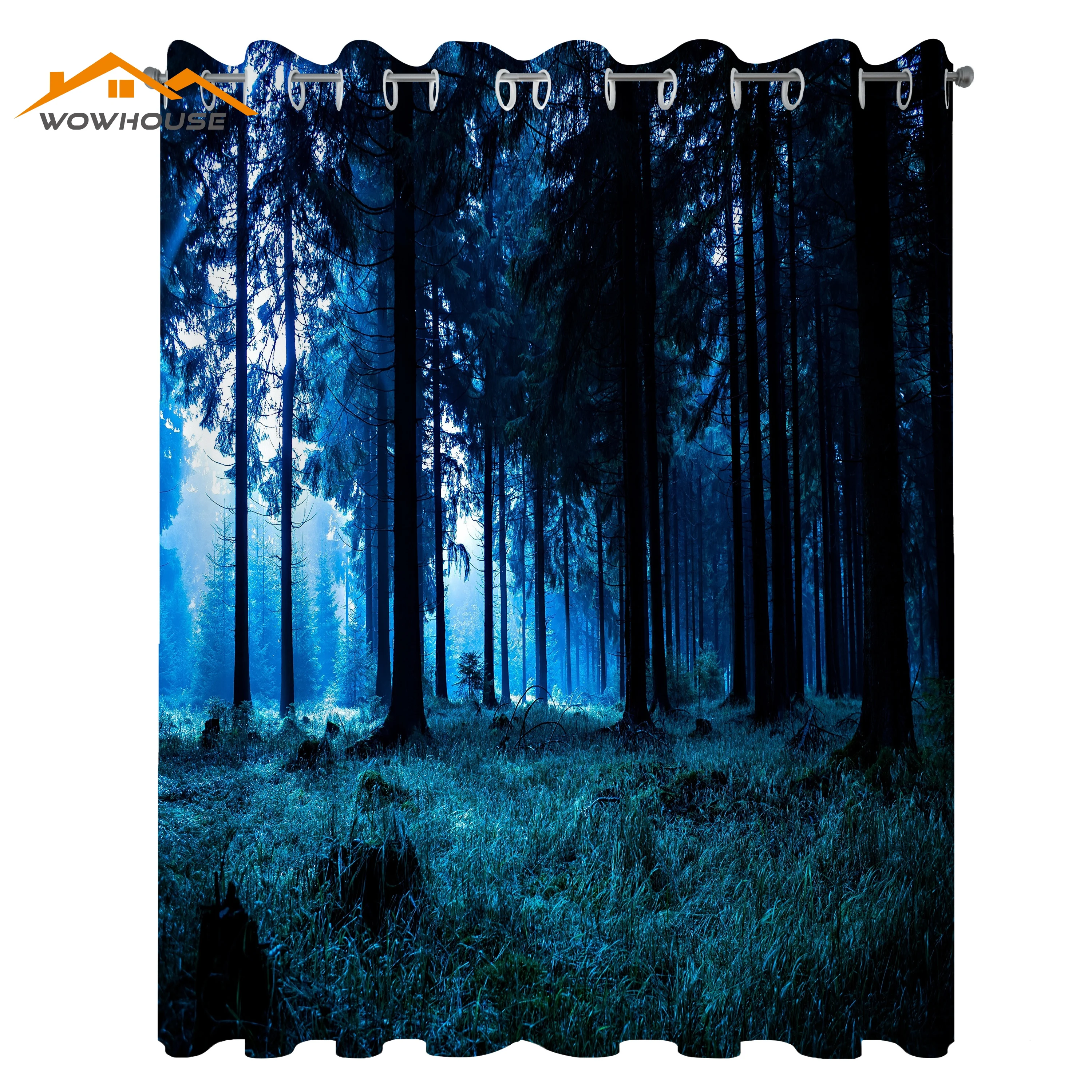 

Forest Curtains Night Scene of Autumn Forest in Thuringia Germany Foggy Pine Trees Greenery Living Room Bedroom Window Drapes