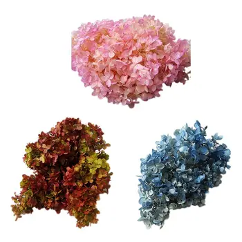 

2020 New Rose Forever Flowers Anniversary Day Gift Preserved Flowers Birthday Gift