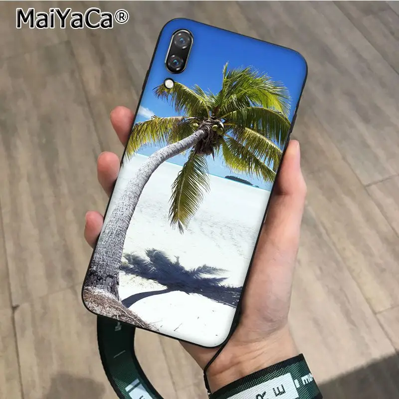 Clear Sea blue Sky beach