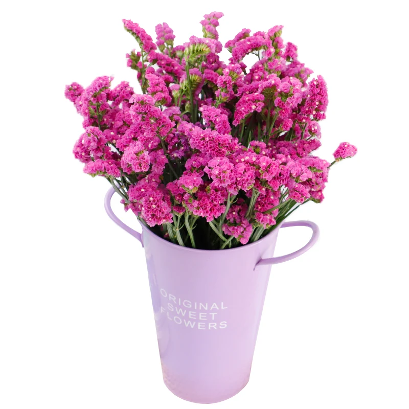 20pcsdried forget-me-Not букет цветов натуральные растения рождественское свадебное украшение цветы композиция без вазы