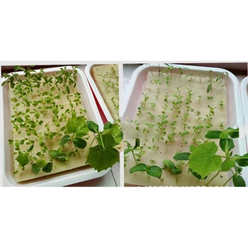 

100pcs Cultivation Seedlings Vegetables Plant Nursery Sponges Soilless Hydroponics