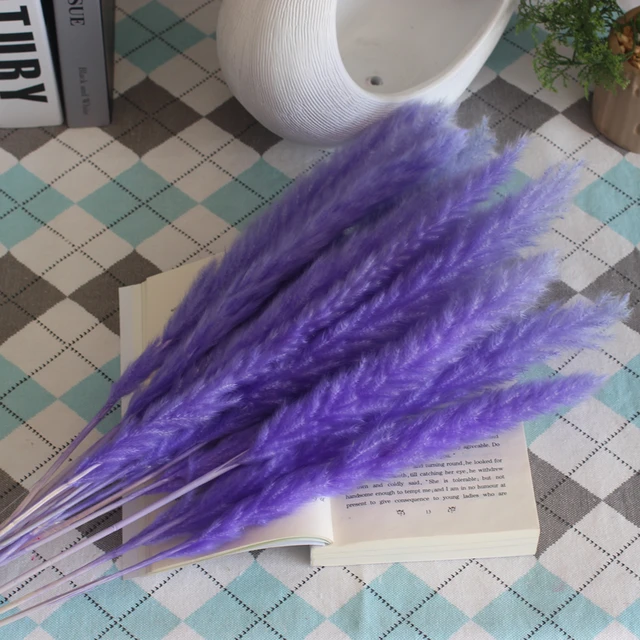 Dekoration 15Pcs Free Shipping Dried Pampas Grass Decor Wedding Flower Bunch Natural Plants for Home Christmas Decorations purple