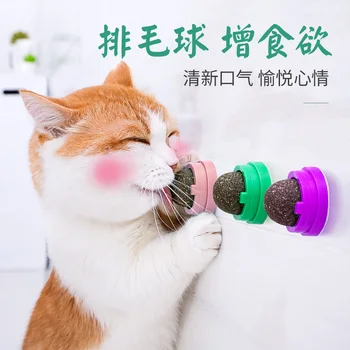 

Funny Funny Pet Cat Toy Interactive Game Dog Cat Toy Interactive Pe Dog interactive cat toys Product Supplies Cat DD60WJ