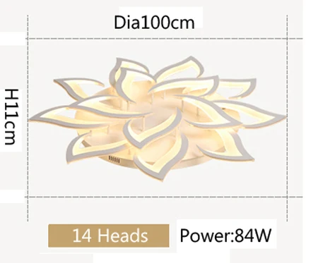 14Heads Dia100cm 84W Светодиодный современный потолочный светильник для гостиной, спальни, кухни с пультом дистанционного управления, потолочный светильник - Цвет абажура: 14Heads Dia100cm 84W