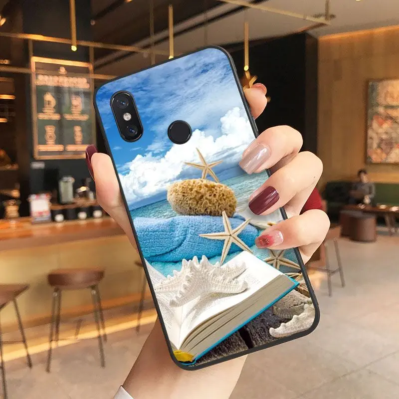 beach starfish blue sky