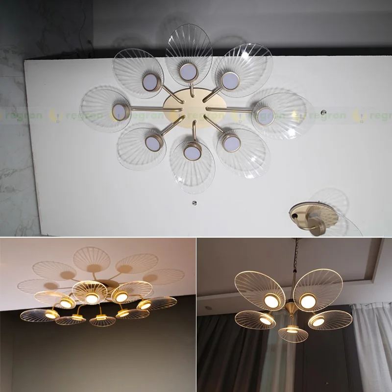 Современный светодиодный потолочный светильник Goldenk & White Lustre медный новый