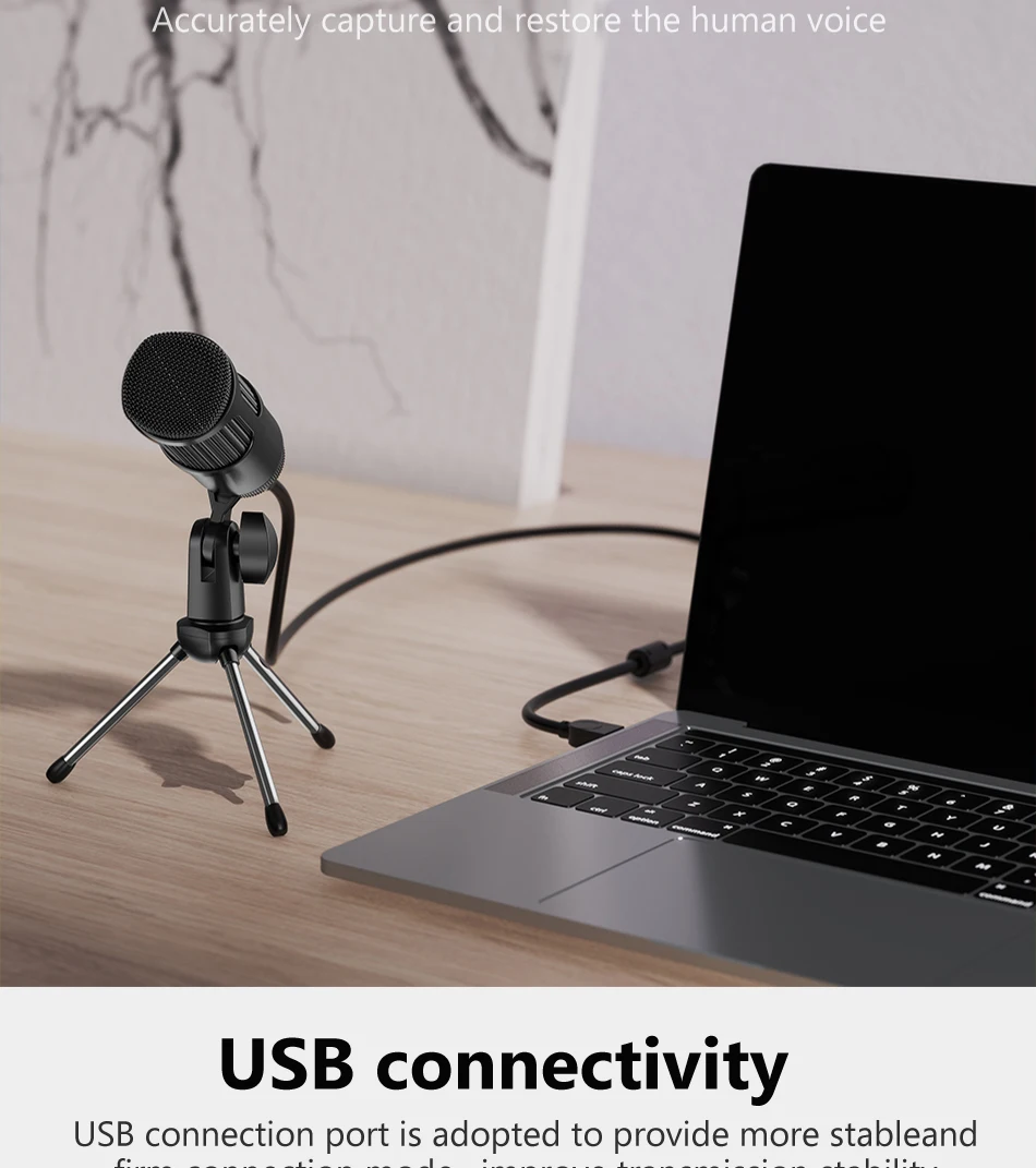 Metal USB Condenser Recording Microphone Sadoun.com