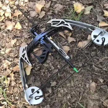 

New mini bow and arrow slingshot 35 lb compound bow outdoor sports bow Fish Shooting Package