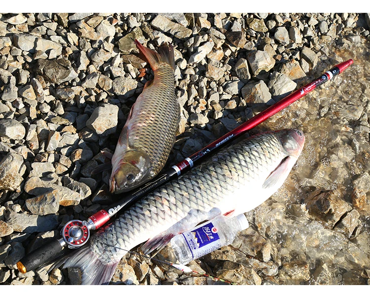 Hollow Rod 5.4m 6.1m Super Hard Stream Peche Fishing Pole Ultra Light Carp Fishing Olta Positioning Canne Pesca Fishing Tackle