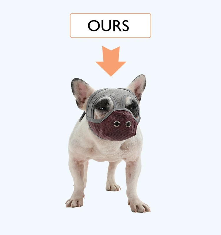 13 - 21302106182_20982621