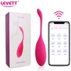 Wireless  APP Control Vibrating Egg Vibrator Wearable Panties Vibrators G Spot Stimulator Vaginal Kegel Ball Sex Toy For Women 1