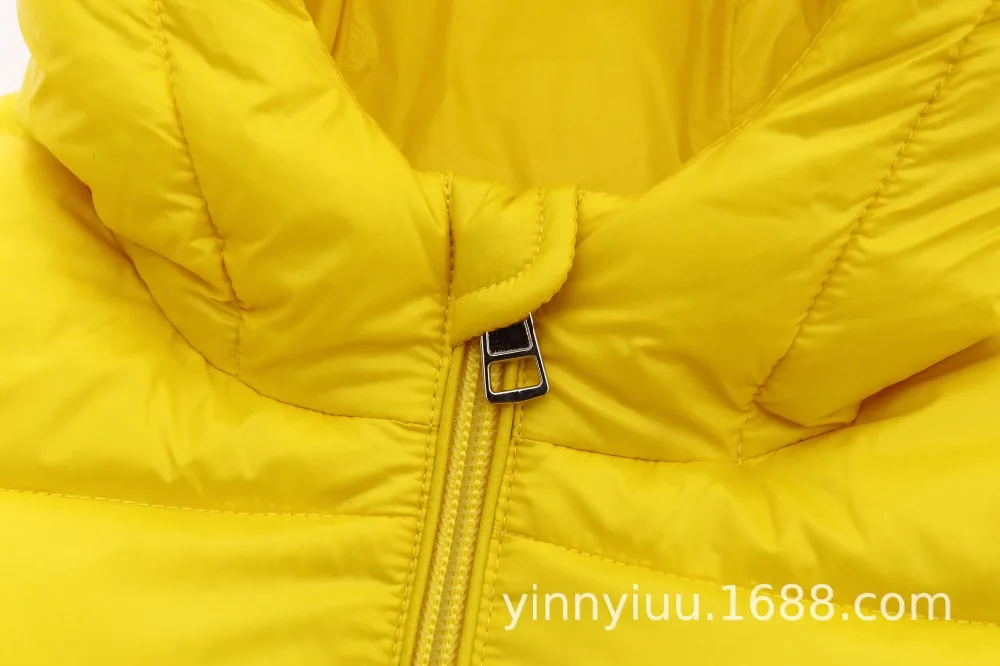 17270336735_445338465