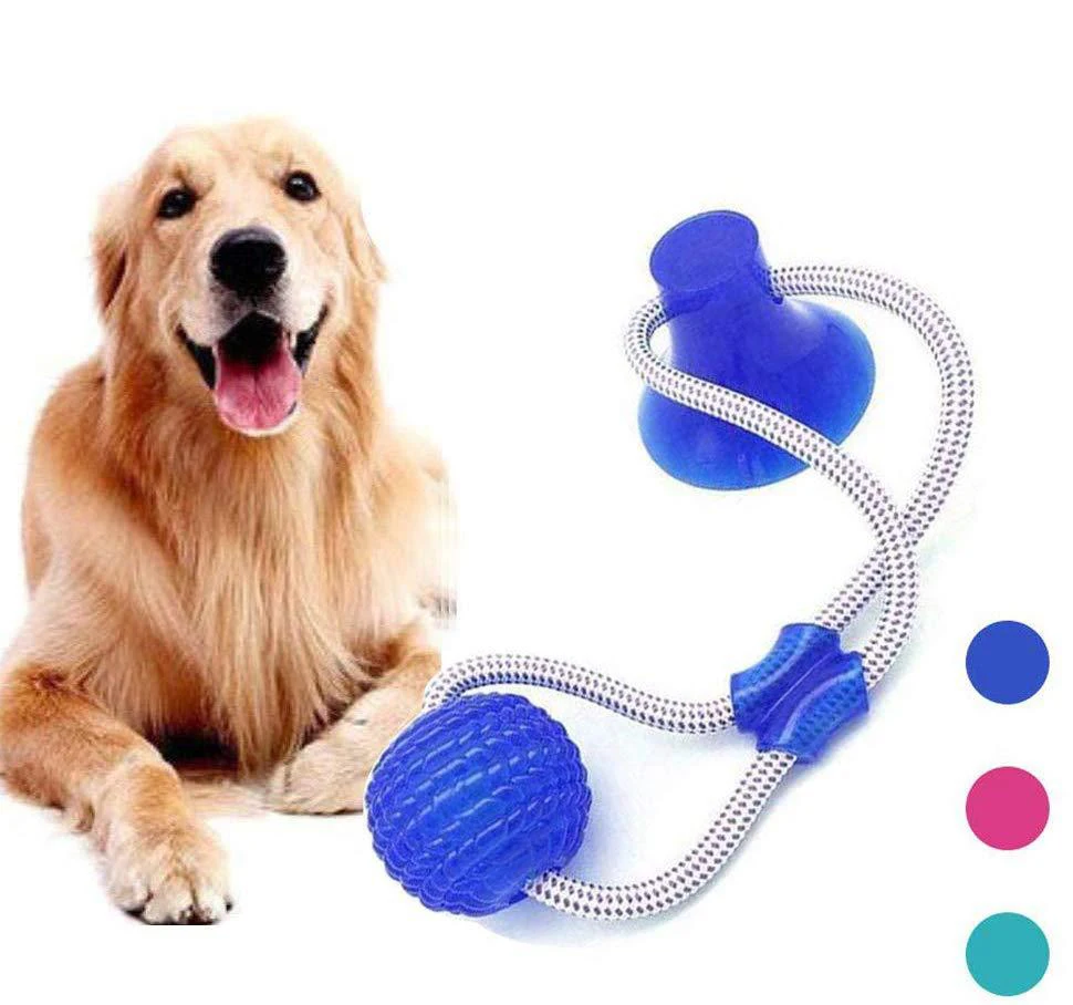 Dog Interactive Suction Cup Push TPR Ball Toys Elastic Ropes Tooth Cleaning Chewing Playing IQ Treat Pet Puppy Supplies | Дом и сад