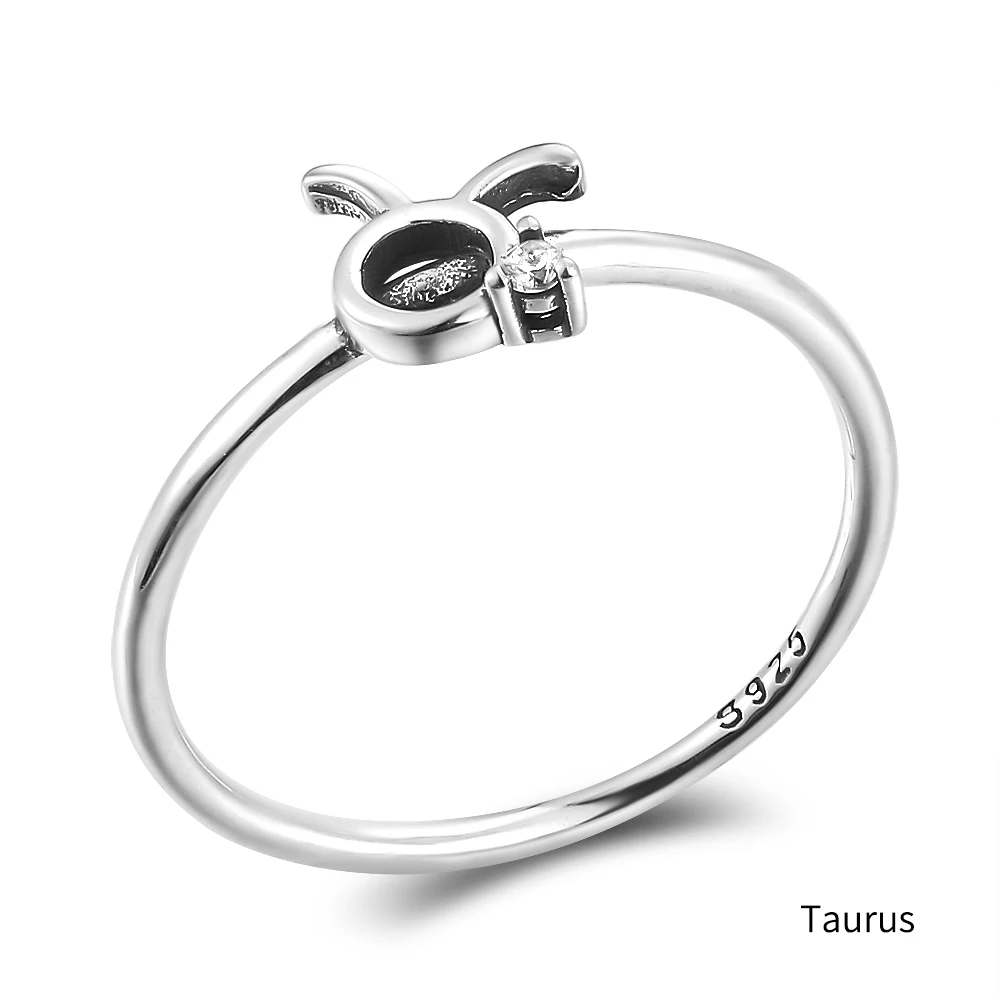 Zodiac Sign Ring Iconic Basic Online Shopping for Funny & Unique Gifts