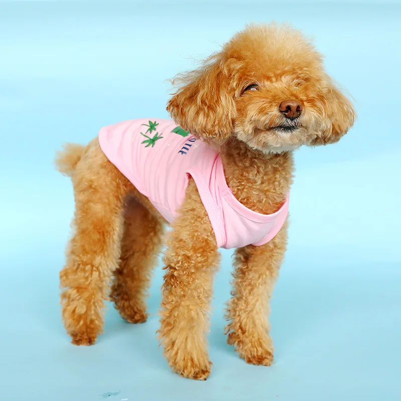 13639116533_1853267267