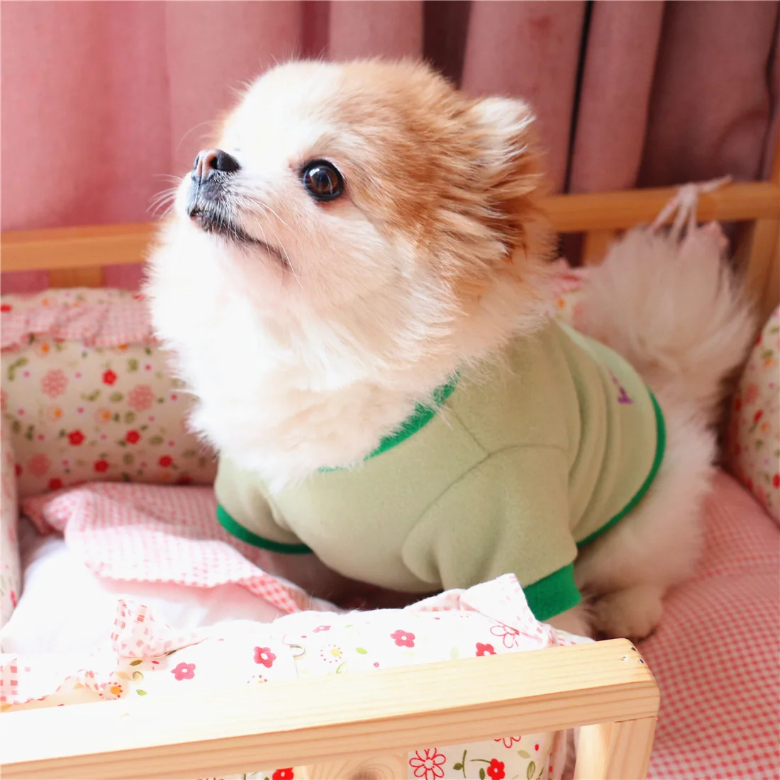 Unique Sweaters For Dogs - The Popular Clothes This Winter