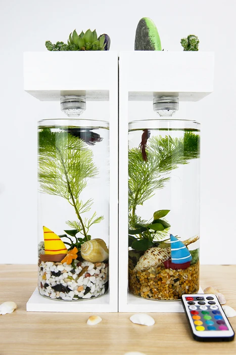 Creative Desktop Fish Tank Home Desk Ecological Fish Tank Microscopic Fleshy Thai Fish Tank Aquarium Plastic Fish Tank