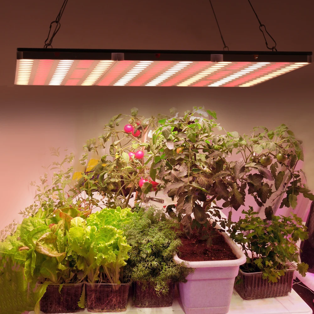 600W/1000W LED Grow Light Panel Hydroponic Full Spectrum Flower Plant IR UK Plug 