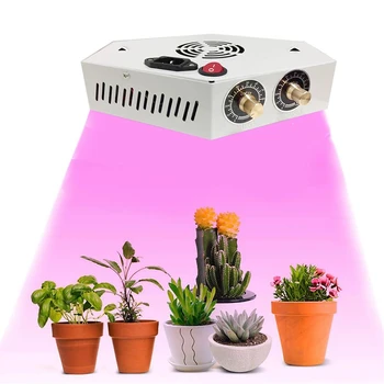 

1000W LED Grow Light Dimmable COB Full Spectrum Double Chip Fitolampy for Indoor for Indoor Vegetable Flower Seedling Phyto Lamp
