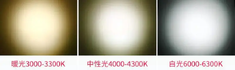 QQ截图20191211210722