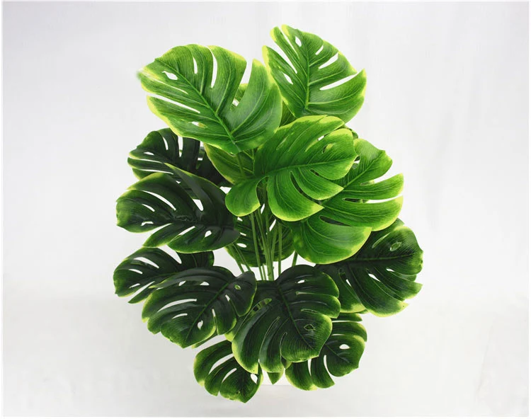 11825923475_1855610624_05