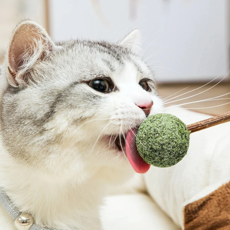 Лидер продаж палочка для зубной пасты кошачьей мяты палочки кошек и