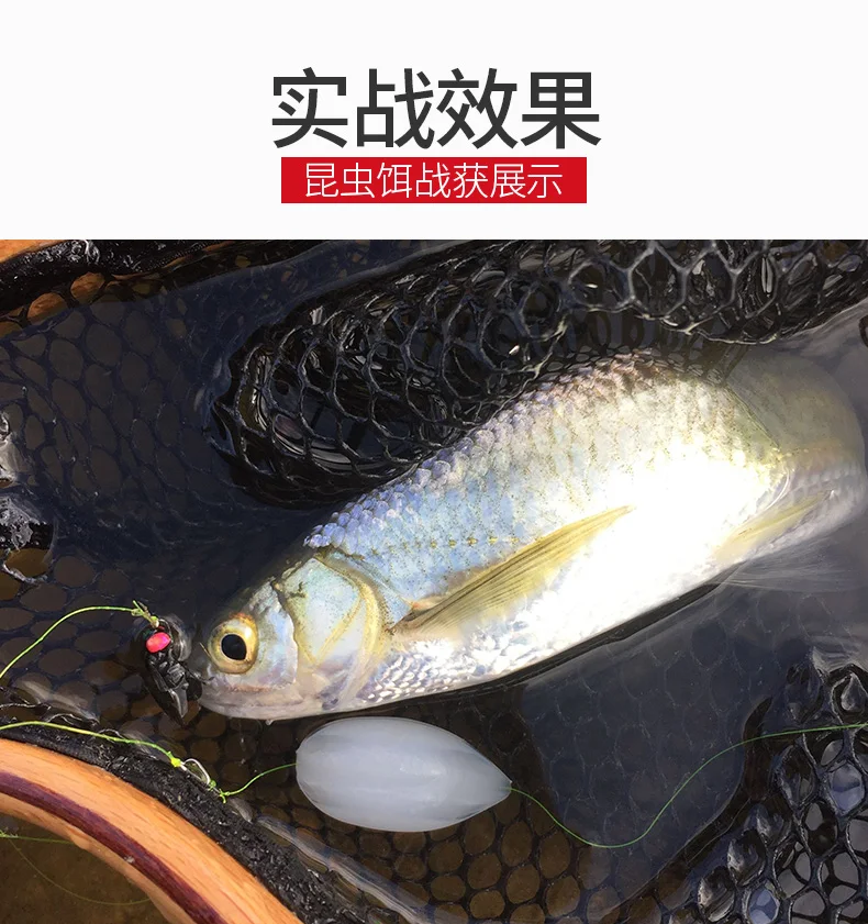 各种苍蝇修改-拷贝_19
