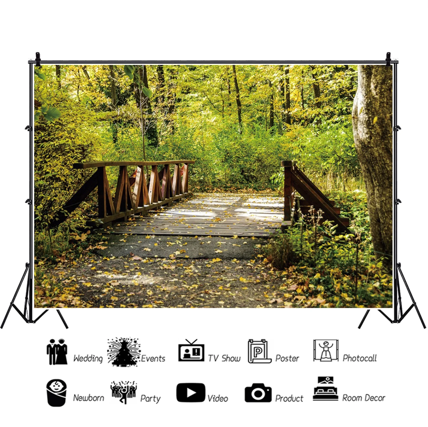  ǳ  ٸ    ʻȭ   Photozone   Ʃ Photophone