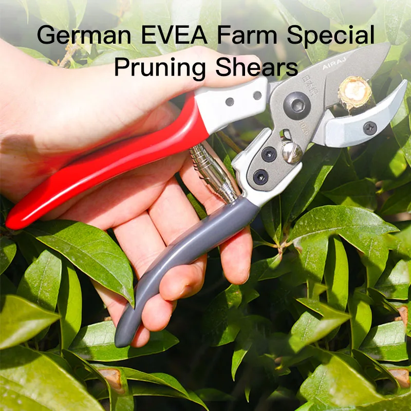 Pruning Shears Garden Tools for Garden