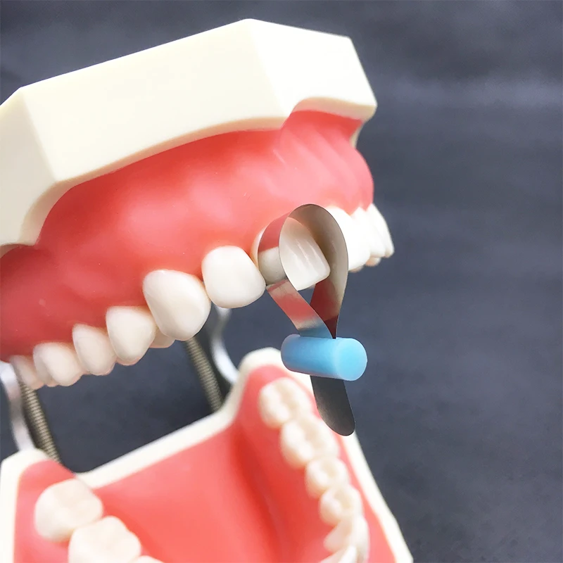 50 sztuk/pudło stomatologia metalowe opaski matrycowe Retainerless Automatrix z szafką matryce matrycowe matryce profilowane 2 50 sztuk/pudło stomatologia metalowe opaski matrycowe Retainerless Automatrix z szafką matryce matrycowe matryce profilowane 2